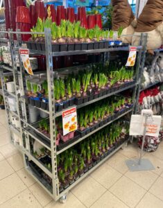 Flower roll container by K.Hartwall in use in the DYI industry