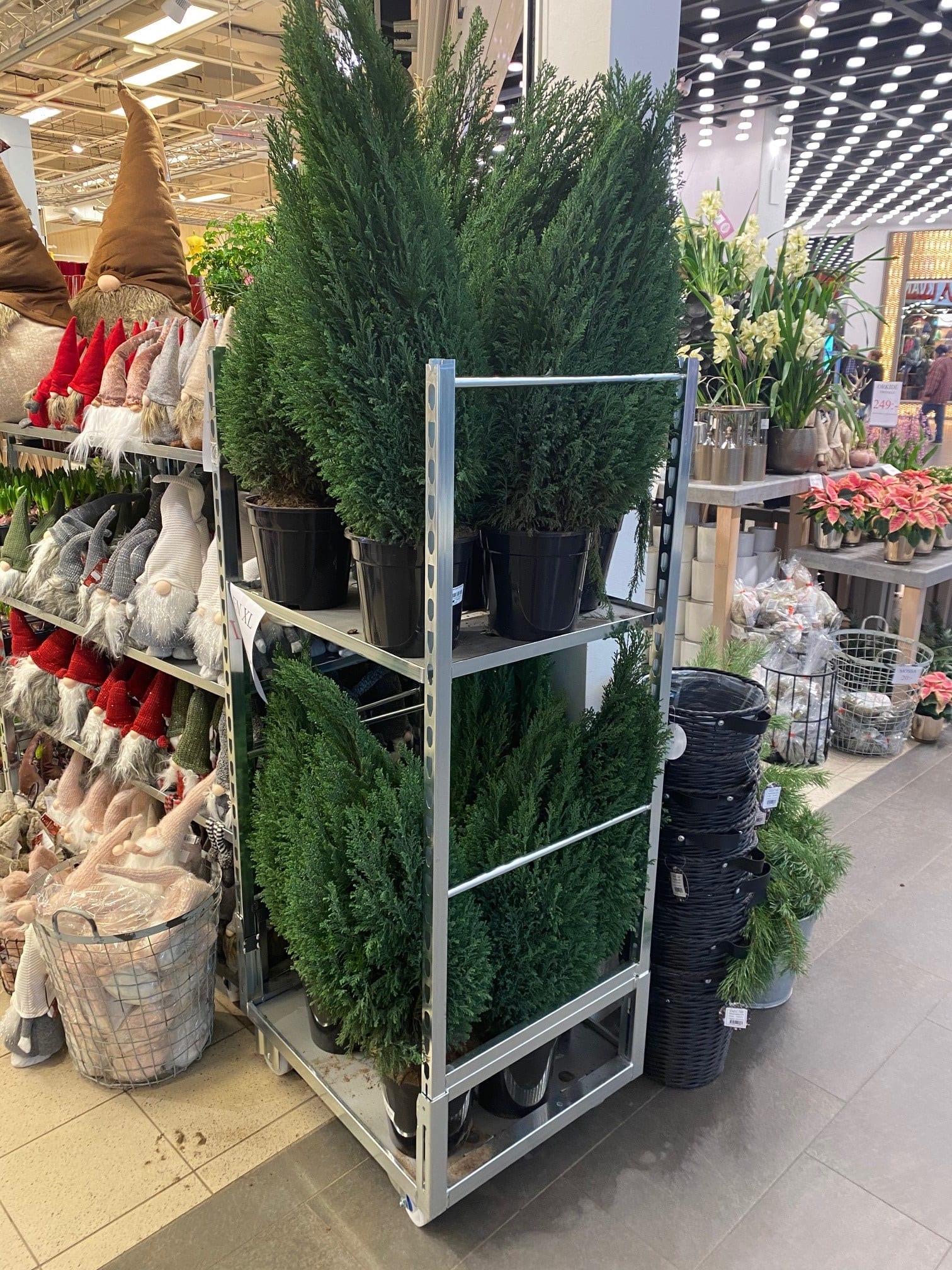 Rollbehälter Flower für Blumen und Grünpflanzen